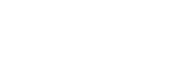 The Congo Project